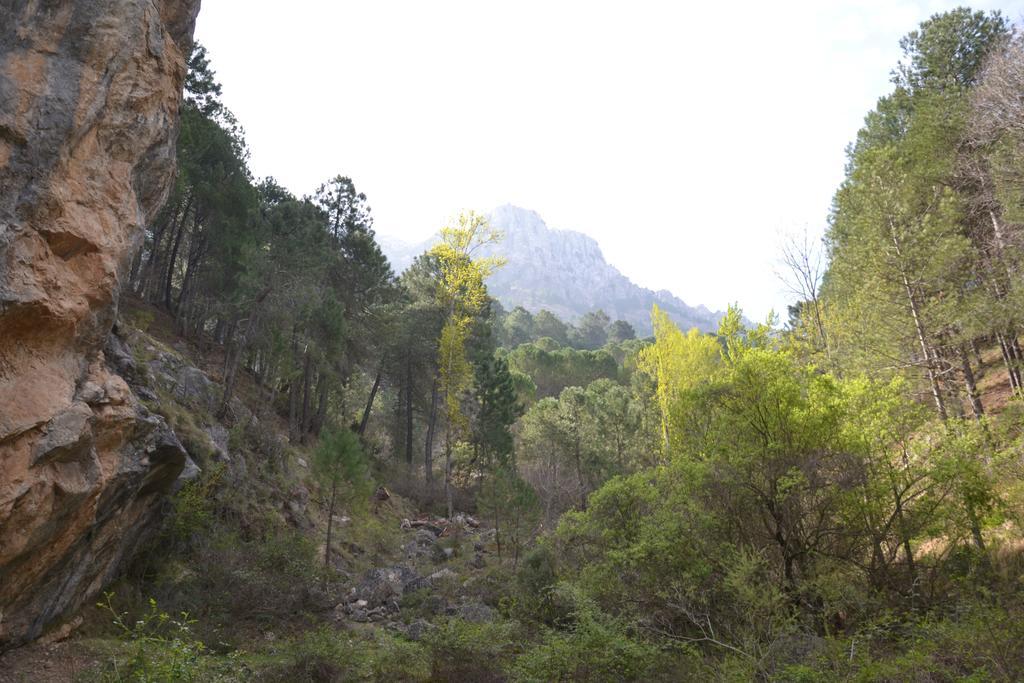 Hotel Balcon De Cazorla Exterior photo